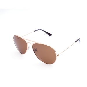 Ochelari de soare maro, pentru barbati, Daniel Klein Premium, DK3053-5