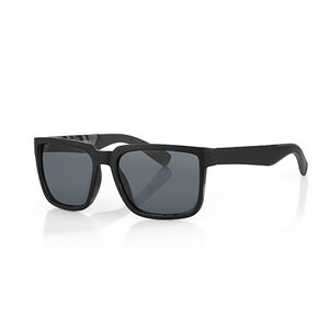 Ochelari de soare gri, pentru barbati, Daniel Klein Sunglasses, DK3253-2
