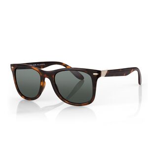 Ochelari de soare gri, pentru barbati, Daniel Klein Sunglasses, DK3256-3