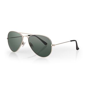 Ochelari de soare gri, pentru barbati, Daniel Klein Sunglasses, DK3261-2