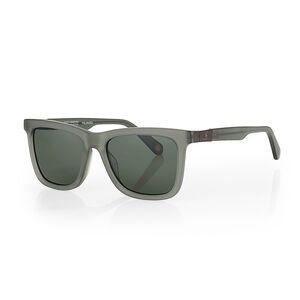Ochelari de soare gri, pentru barbati, Santa Barbara Polo Sunglasses, SB1116-2