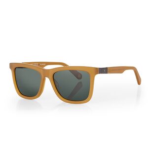 Ochelari de soare gri, pentru barbati, Santa Barbara Polo Sunglasses, SB1116-3