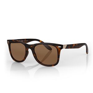 Ochelari de soare maro, pentru barbati, Daniel Klein Sunglasses, DK3256-4