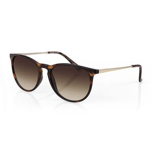 Ochelari de soare maro, pentru dama, Daniel Klein Sunglasses, DK4323-2