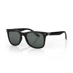Ochelari de soare negri, pentru barbati, Daniel Klein Sunglasses, DK3256-2