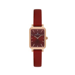 Ceas Daniel Klein Premium DK.1.13776.6