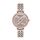 Ceas Daniel Klein Premium DK.1.12534.4