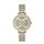 Ceas Daniel Klein Premium DK.1.12534.5