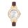 Ceas Daniel Klein Trendy DK.1.12553.5