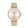 Ceas pentru dama, Daniel Klein Trendy, DK.1.12643.2