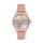 Ceas Daniel Klein Premium DK.1.12696.2