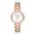 Ceas Freelook Eiffel FL.1.10136.4