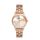 Ceas pentru dama, Daniel Klein Premium, DK.1.12933.3