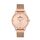 Ceas pentru dama, Daniel Klein Premium, DK.1.12967.3