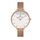 Ceas Daniel Klein Premium DK.1.12972.4
