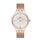 Ceas Daniel Klein Premium DK.1.12991.2