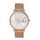 Ceas Daniel Klein Premium DK.1.13032.3