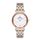 Ceas Daniel Klein Premium DK.1.13034.6