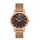 Ceas Daniel Klein Premium DK.1.13053.3