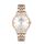 Ceas Daniel Klein Premium DK.1.13061.5