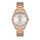 Ceas pentru dama, Daniel Klein Premium, DK.1.13088.4