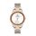 Ceas Daniel Klein Premium DK.1.13091.3