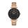 Ceas Daniel Klein Premium DK.1.13146.2