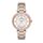 Ceas pentru dama, Daniel Klein Premium, DK.1.13167.4