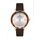 Ceas Daniel Klein Premium DK.1.13187.2