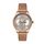 Ceas Daniel Klein Premium DK.1.13222.5
