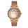 Ceas Daniel Klein Premium DK.1.13226.2