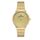 Ceas Daniel Klein Premium DK.1.13230.2