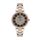 Ceas pentru dama, Daniel Klein Premium, DK.1.13241.6