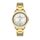 Ceas pentru dama, Daniel Klein Premium, DK.1.13418.3