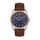 Ceas Daniel Klein Premium DK.1.13383.4