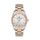 Ceas Daniel Klein Premium DK.1.13340.5