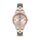 Ceas pentru dama, Daniel Klein Premium, DK.1.13390.6