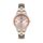Ceas pentru dama, Daniel Klein Premium, DK.1.13390.6