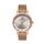 Ceas Daniel Klein Premium DK.1.13406.5