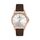 Ceas Daniel Klein Premium DK.1.13419.3