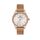Ceas pentru dama, Daniel Klein Premium, DK.1.13427.6
