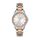Ceas Freelook Lumiere FL.1.10365.5