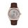 Ceas Daniel Klein Premium DK.1.13555.3