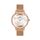 Ceas Daniel Klein Premium DK.1.13456.5