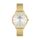 Ceas pentru dama, Daniel Klein Premium, DK.1.13460.3