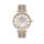 Ceas pentru dama, Daniel Klein Premium, DK.1.13469.5
