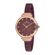 Ceas pentru dama, Daniel Klein Premium, DK11797-6