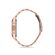 Ceas Daniel Klein Exclusive DK.1.12585.5