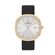 Ceas Daniel Klein Fiord DK.1.12653.2
