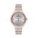Ceas Daniel Klein Premium DK.1.12522.3